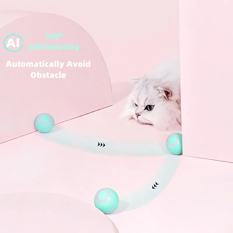 PetiPaw™ - Interactive Cat Toy Ball