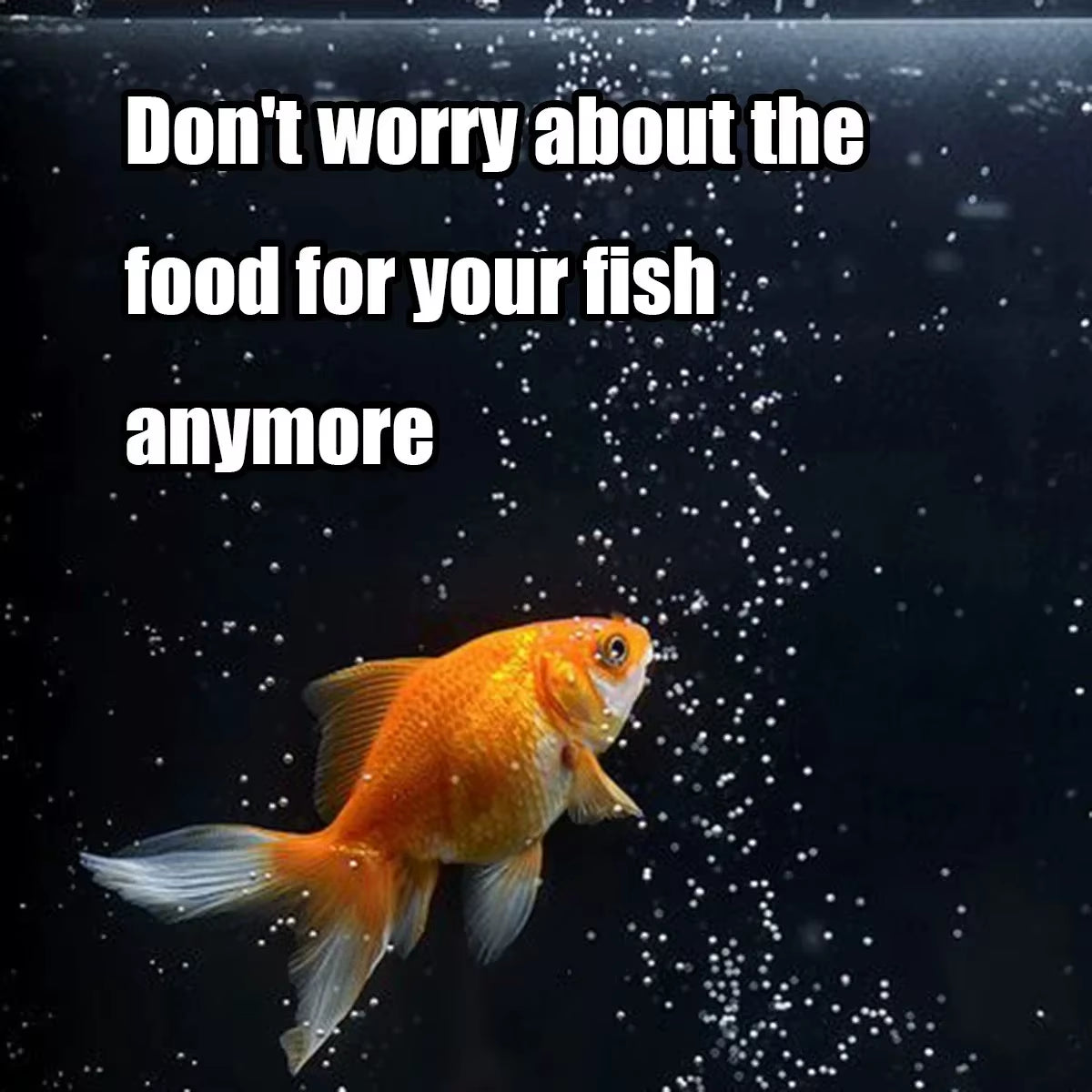 Automatic Fish Feeder with 100ML Capacity - Battery Operated Programmable Timer for Aquariums, Ideal for Vacation Use